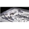 Image 3 : Bones - Jared Booth's Bone Prop from the Fox TV Series (0222)