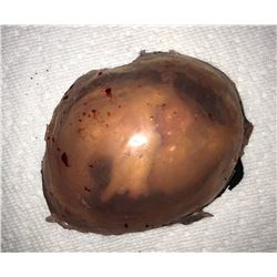 The Silence - Creature & egg sac prop