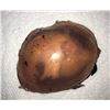 Image 1 : The Silence - Creature & egg sac prop