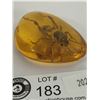 Image 2 : Burmite Amber Fossil Unknown fly