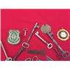 Image 4 : Lot of Skeleton Keys, Woodwards Pins + more