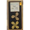 Image 1 : MICHIGAN 10-1/4 X 13 RH ALUMINUM PROPELLER