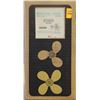 Image 1 : MICHIGAN 10-1/4 X 13 RH ALUMINUM PROPELLER