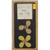 Image 1 : MICHIGAN 10-1/4 X 11 RH ALUMINUM PROPELLER