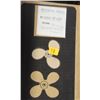 Image 1 : MICHIGAN  12-1/2 X 23 RH ALUMINUM PROPELLER