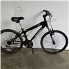 Image 1 : BLACK IRON HORSE BIKE