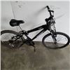 Image 3 : BLACK IRON HORSE BIKE