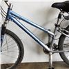 Image 2 : BLUE SPECIALIZED BIKE