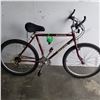 Image 1 : RED RALEIGH BIKE