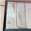 Image 2 : 2 BOXES OF ROCKWOOL PLANT STARTS