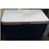 Image 2 : BLUE AND RED COOLERS