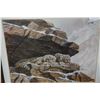 Image 2 : SIGNED SNOW LEOPARDS BG DON BALKE PRINT IN FRAME