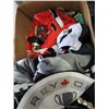 Image 2 : BOX OF HOCKEY TROPHIES AND JERSEYS