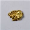 Image 1 : 1.34 Gram Natural Alluvial Gold Nugget