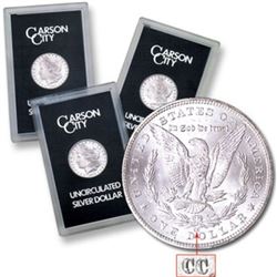 1882-3-4 Carson City GSA Morgan Dollar Trio