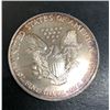 Image 2 : 1999 US Silver Eagle Patriotic Hand Painted