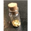 Image 2 : 1 Gram Gold Nuggets in Vial