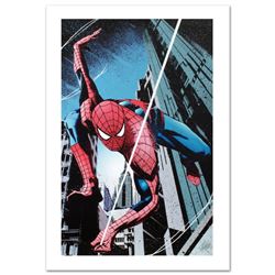 Amazing Spider-Man: Extra #3 by Stan Lee - Marvel Comics