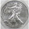 Image 1 : 2013-W BURNISHED AMERICAN SILVER EAGLE