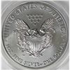 Image 2 : 2013-W BURNISHED AMERICAN SILVER EAGLE