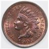 Image 1 : 1905 INDIAN CENT