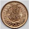 Image 2 : 1902 INDIAN CENT