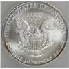 Image 2 : 2003 AMERICAN SILVER EAGLE