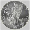 Image 1 : 2010 AMERICAN SILVER EAGLE