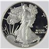 Image 1 : 1987-S AMERICAN SILVER EAGLE