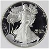 Image 1 : 1989-S AMERICAN SILVER EAGLE