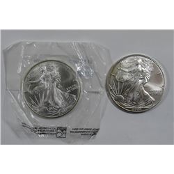2002 & 2004 AMERICAN SILVER EAGLES
