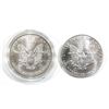 Image 2 : 1993 & 1995 AMERICAN SILVER EAGLES