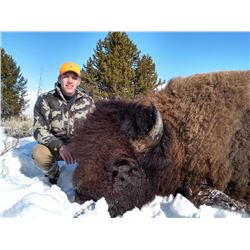 2019 Wyoming Governors Bison Tag