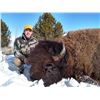 Image 1 : 2019 Wyoming Governors Bison Tag