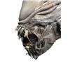 Image 2 : Aliens (1986) Alien Creature Head Movie Props