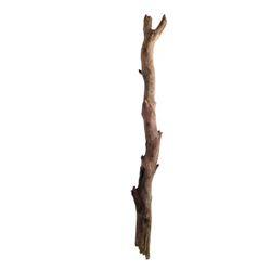 Django (Jamie Fox) Lone Pine Branch Movie Props
