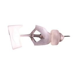 Dolphin Tale 2 Prosthetic FX Dolphin Tale Movie Props