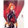 Image 3 : Jamie Tyndall Framed Black Widow Print