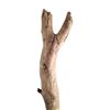 Image 2 : Django (Jamie Fox) Lone Pine Branch Movie Props