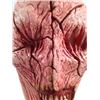 Image 5 : Hell Fest C.V. SFX Mask Movie Props