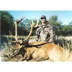 Argentina Red Stag Hunt for 1 hunter and 1 observer WITH MG HUNTING