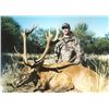 Image 1 : Argentina Red Stag Hunt for 1 hunter and 1 observer WITH MG HUNTING