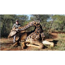 South African Giraffe Hunt with Trophy Fees for 2 Hunters