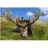 Image 1 : Scotland Red Stag Hunt with International Adventures Unlimited