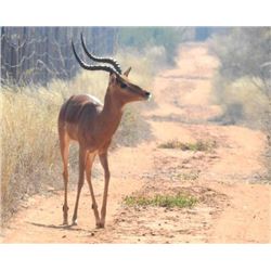 4 Hunters 7 day/8 night Safari with Limpopo Safaris