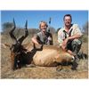 Image 2 : Namibia Plains game hunt with Eitaalo Hunting Safaris