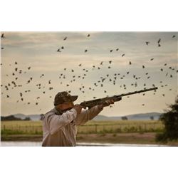 Argentina Dove Hunt 3 day hunting/2 hunters  with Dave Denies2 half days & 2 full days