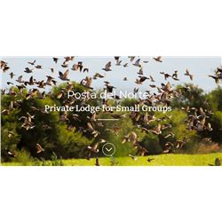 Cordoba Dove Shoot for 4 hunters with Flyways