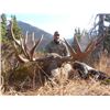 Image 1 : 2019 Horseback Alaska-Yukon Moose Hunt in Alaska