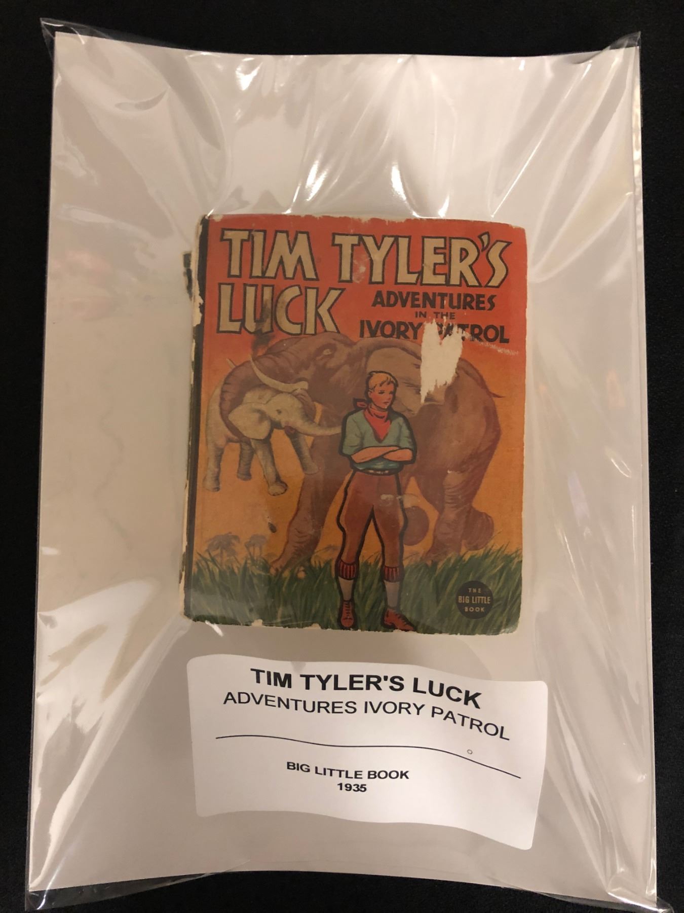 TIM TYLER'S GAME 
